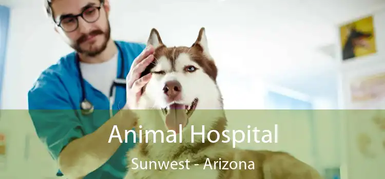 Animal Hospital Sunwest - Arizona