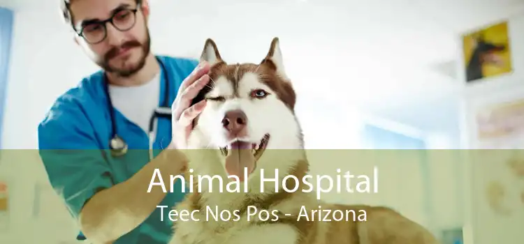 Animal Hospital Teec Nos Pos - Arizona