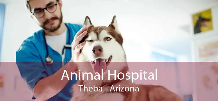 Animal Hospital Theba - Arizona