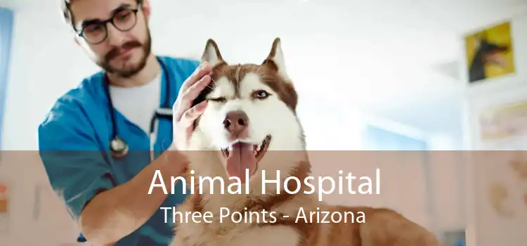 Animal Hospital Three Points - Arizona