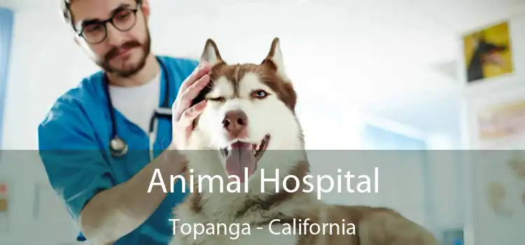 Animal Hospital Topanga - California