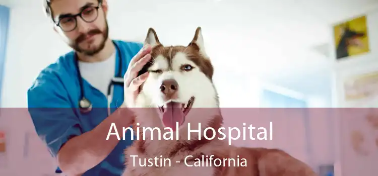 Animal Hospital Tustin - California