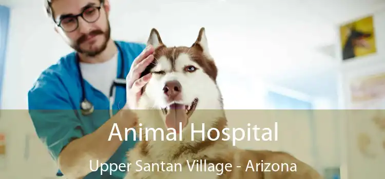 Animal Hospital Upper Santan Village - Arizona