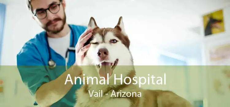 Animal Hospital Vail - Arizona