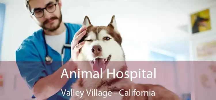 Animal Hospital Valley Village - California