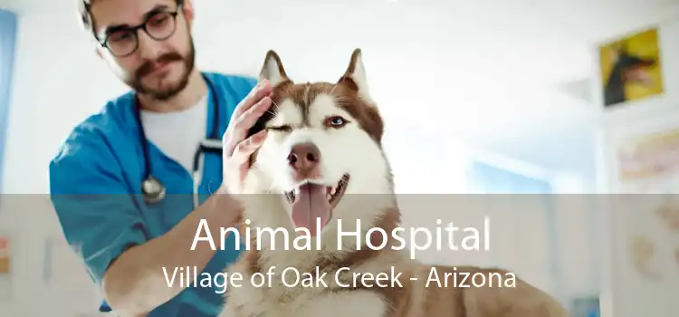 Animal Hospital Village of Oak Creek - Arizona