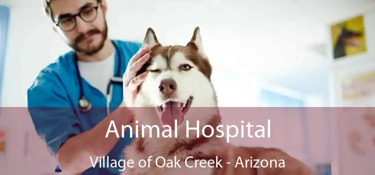 Animal Hospital Village of Oak Creek - Arizona