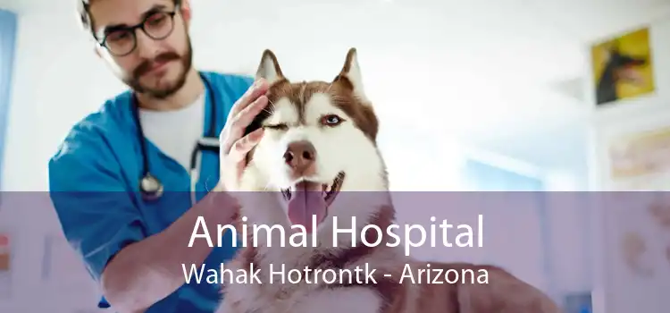 Animal Hospital Wahak Hotrontk - Arizona