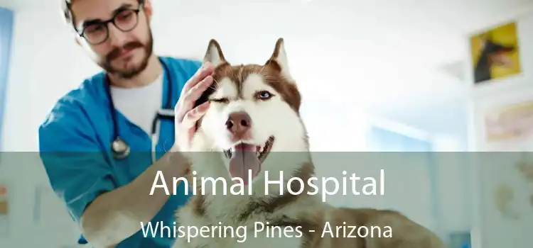 Animal Hospital Whispering Pines - Arizona