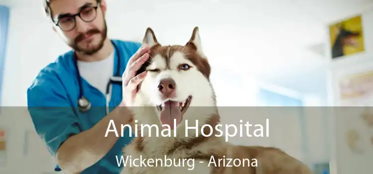 Animal Hospital Wickenburg - Arizona