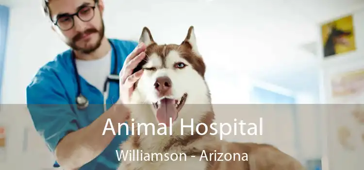 Animal Hospital Williamson - Arizona