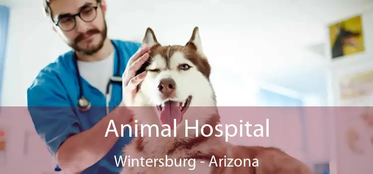 Animal Hospital Wintersburg - Arizona