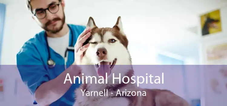 Animal Hospital Yarnell - Arizona