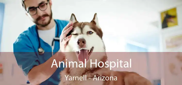 Animal Hospital Yarnell - Arizona