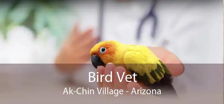 Bird Vet Ak-Chin Village - Arizona