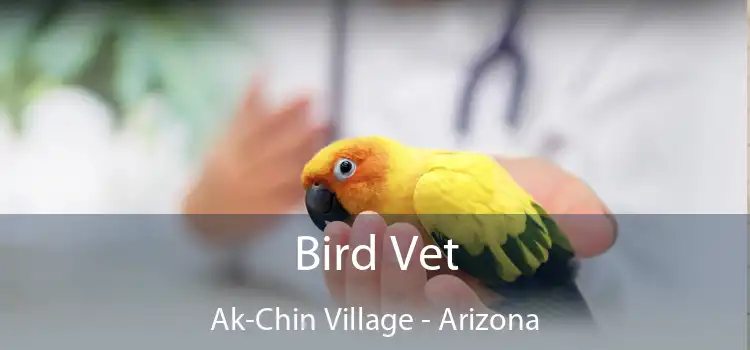 Bird Vet Ak-Chin Village - Arizona