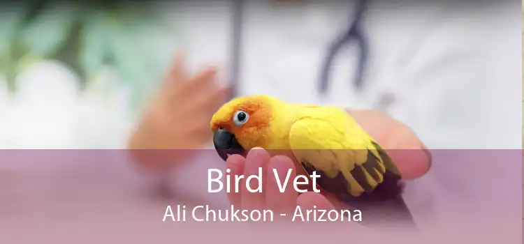Bird Vet Ali Chukson - Arizona