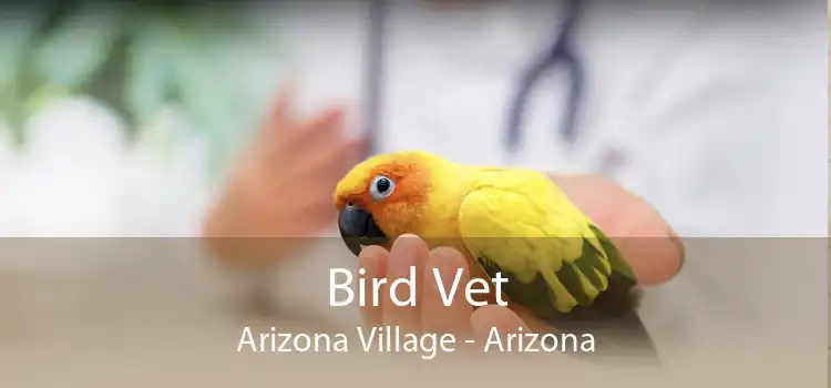 Bird Vet Arizona Village - Arizona