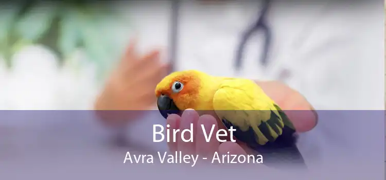 Bird Vet Avra Valley - Arizona