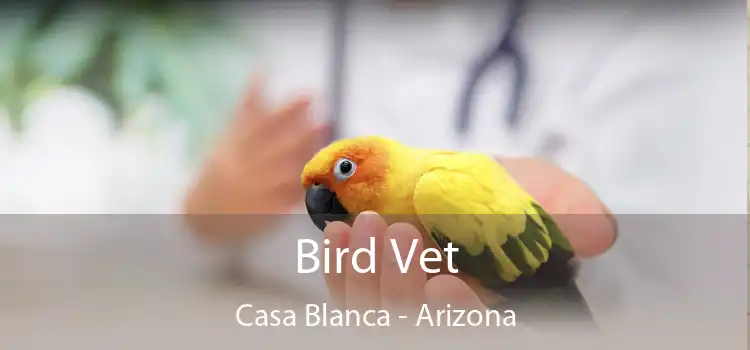 Bird Vet Casa Blanca - Arizona