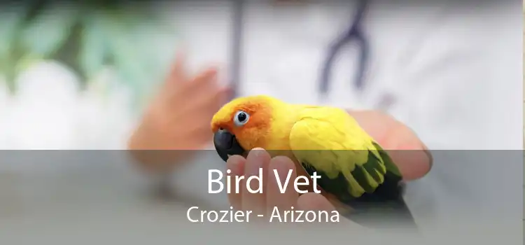 Bird Vet Crozier - Arizona