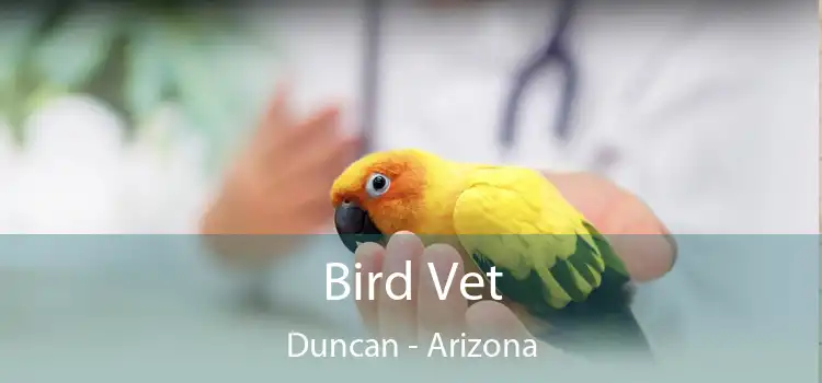 Bird Vet Duncan - Arizona