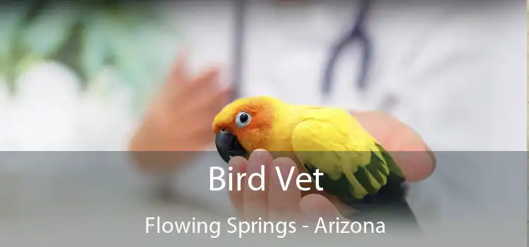 Bird Vet Flowing Springs - Arizona