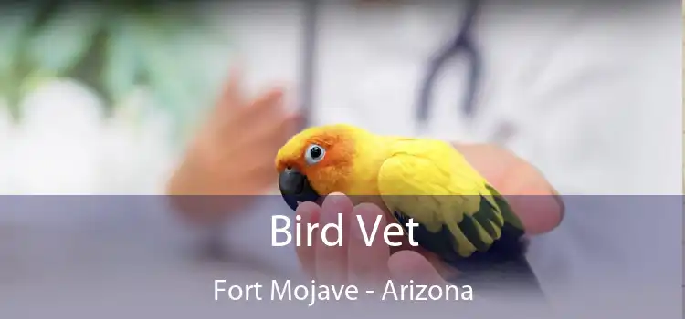 Bird Vet Fort Mojave - Arizona