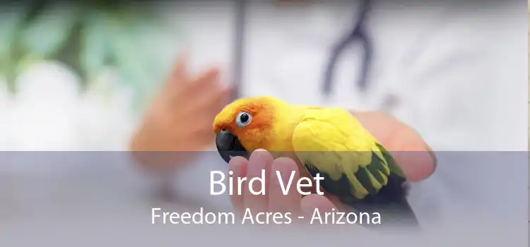 Bird Vet Freedom Acres - Arizona