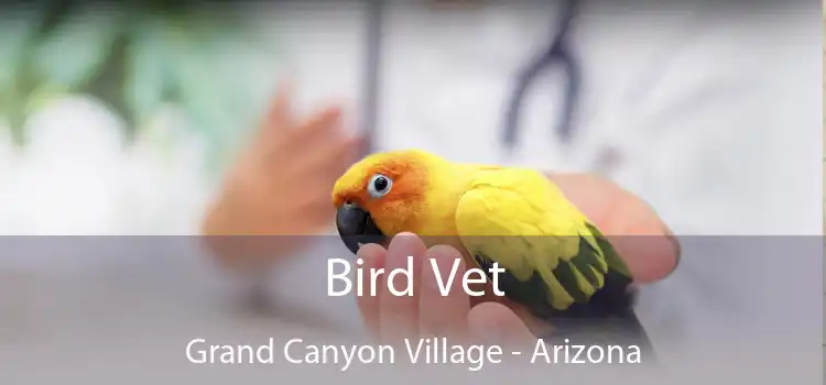 Bird Vet Grand Canyon Village - Arizona