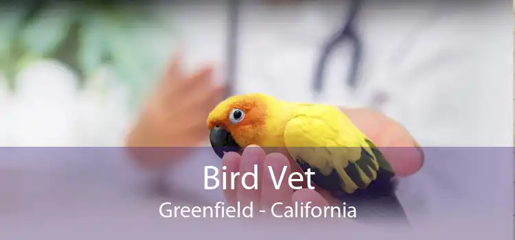 Bird Vet Greenfield - California