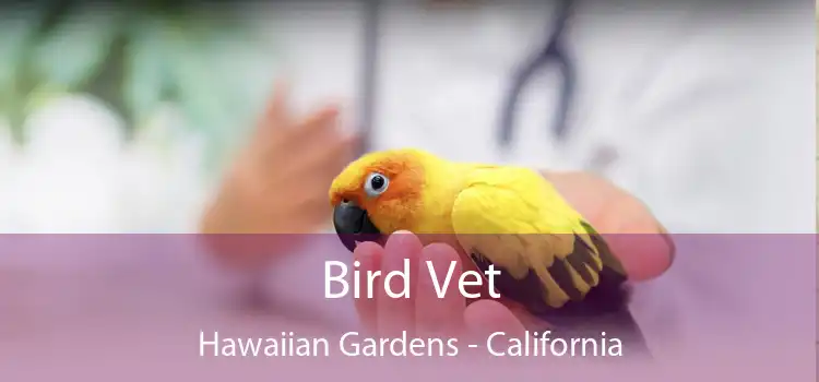 Bird Vet Hawaiian Gardens - California