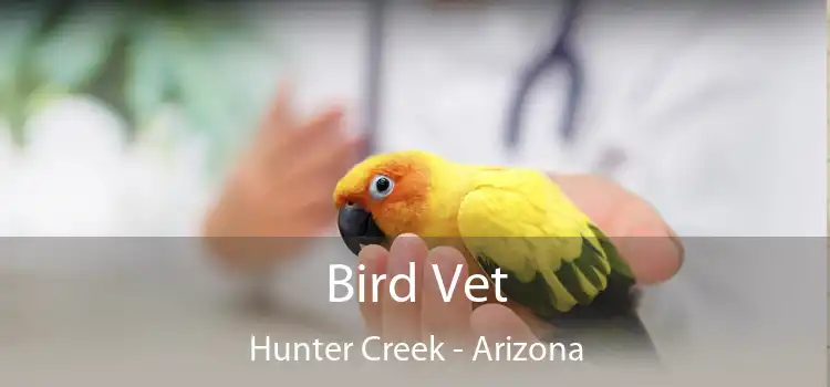 Bird Vet Hunter Creek - Arizona