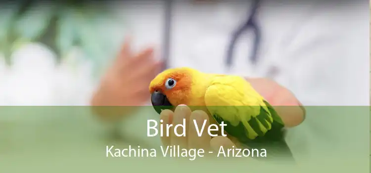 Bird Vet Kachina Village - Arizona