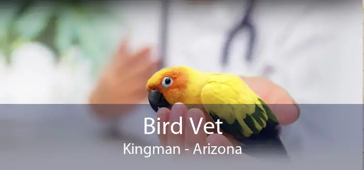 Bird Vet Kingman - Arizona