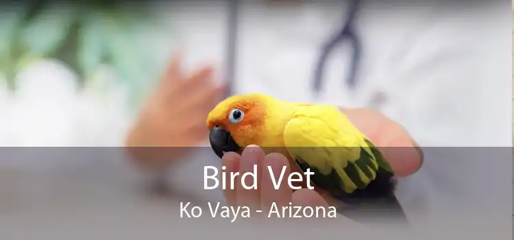 Bird Vet Ko Vaya - Arizona