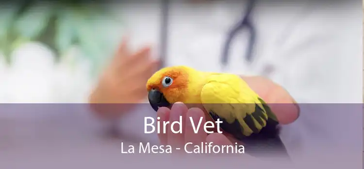 Bird Vet La Mesa - California