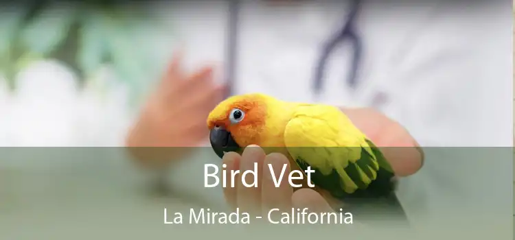 Bird Vet La Mirada - California