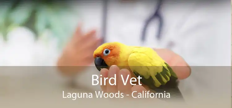Bird Vet Laguna Woods - California