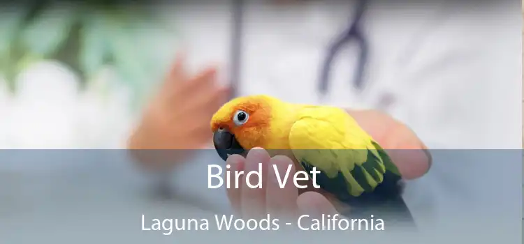 Bird Vet Laguna Woods - California