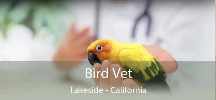 Bird Vet Lakeside - California
