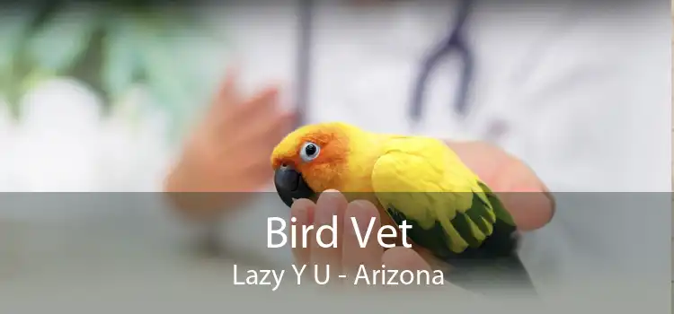 Bird Vet Lazy Y U - Arizona