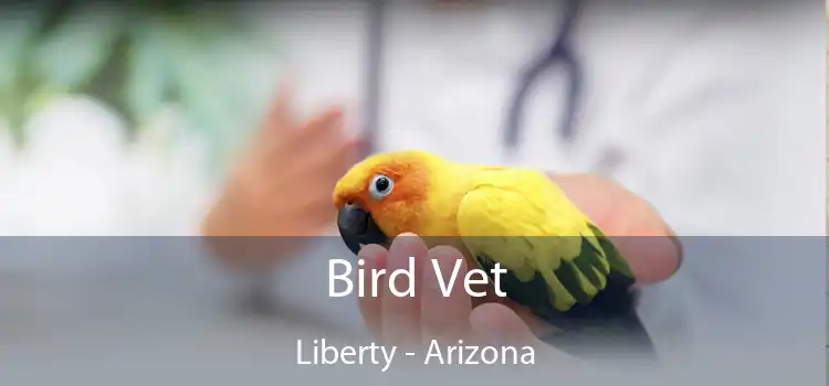 Bird Vet Liberty - Arizona