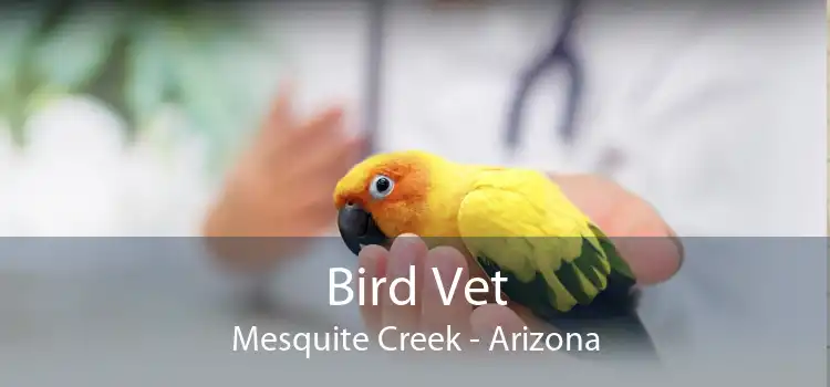 Bird Vet Mesquite Creek - Arizona