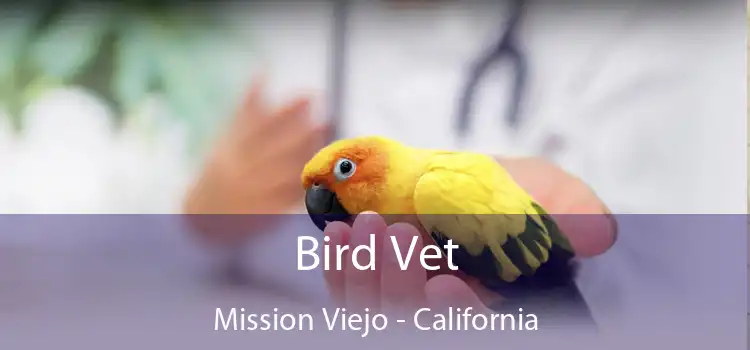 Bird Vet Mission Viejo - California