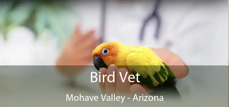 Bird Vet Mohave Valley - Arizona