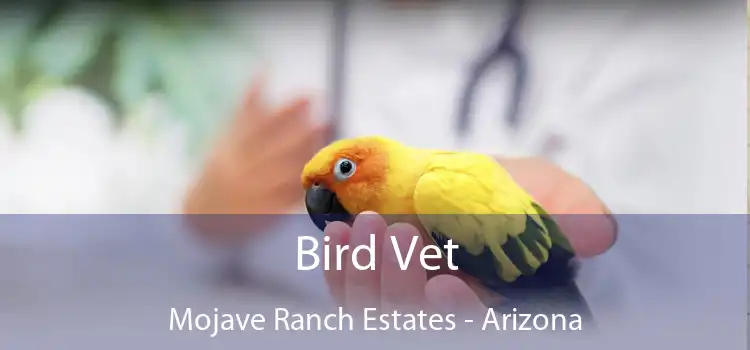 Bird Vet Mojave Ranch Estates - Arizona