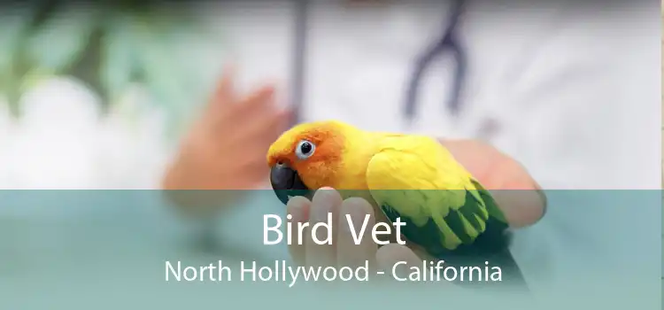 Bird Vet North Hollywood - California