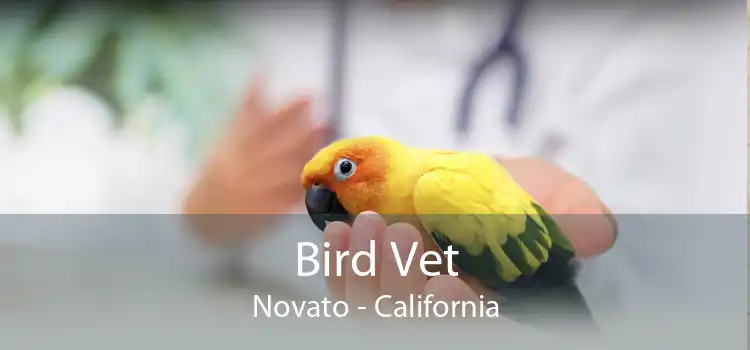 Bird Vet Novato - California