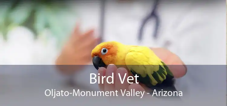 Bird Vet Oljato-Monument Valley - Arizona